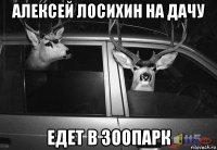 алексей лосихин на дачу едет в зоопарк