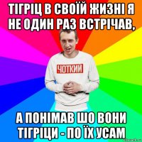 тігріц в своїй жизні я не один раз встрічав, а понімав шо вони тігріци - по їх усам