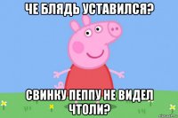 че блядь уставился? свинку пеппу не видел чтоли?