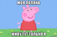 моя поляна живу тут только я