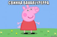 свинка bavarlypeppa 