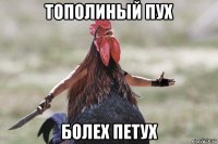 тополиный пух болех петух