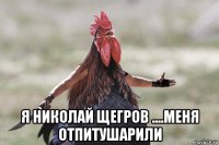  я николай щегров ....меня отпитушарили