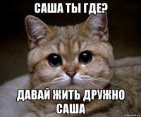 саша ты где? давай жить дружно саша