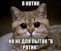 я котик но не для пыток "в ротик"