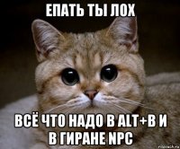 епать ты лох всё что надо в alt+b и в гиране npc