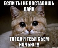 если ты не поставишь лайк тогда я тебя сьем ночью !!!