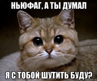 ньюфаг, а ты думал я с тобой шутить буду?