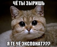 чё ты зыришь я те чё экспонат???