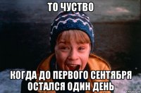 то чуство когда до первого сентября остался один день