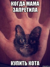 когда мама запретила купить кота