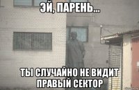  ты случайно не видит правый сектор