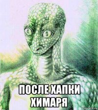  после хапки химаря