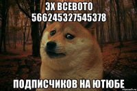 эх всевото 566245327545378 подписчиков на ютюбе