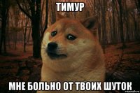 тимур мне больно от твоих шуток