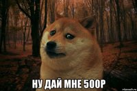  ну дай мне 500р