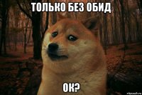 только без обид ок?