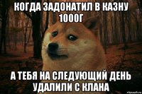 когда задонатил в казну 1000г а тебя на следующий день удалили с клана