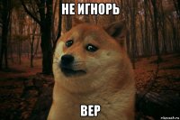 не игнорь вер