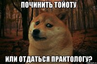 починить тойоту или отдаться практологу?