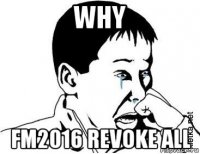 why fm2016 revoke all