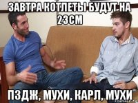 завтра котлеты будут на 23см пздж, мухи, карл, мухи