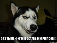 ЭЭЭ ТЫ НЕ ФИГЕЙ И ОСТАВЬ МНЕ ЧИПСОВ!!!