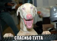  спасибо тутта