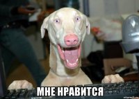  мне нравится
