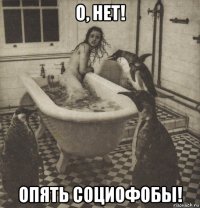 о, нет! опять социофобы!