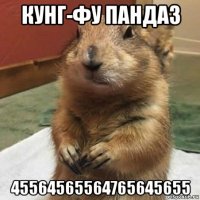 кунг-фу панда3 45564565564765645655