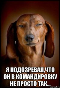  я подозревал,что он в командировку не просто так...
