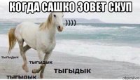 когда сашко зовет скуп 