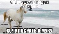 а я лохушка тыгыдык тыгыдык хочу посрать в муку