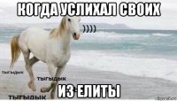 когда услихал своих из елиты