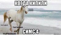 когда кипили симс 4