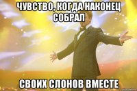 чувство, когда наконец собрал своих слонов вместе