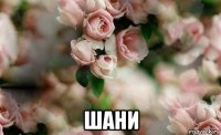  шани