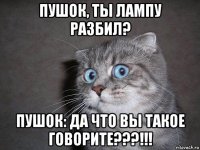 пушок, ты лампу разбил? пушок: да что вы такое говорите???!!!