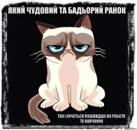 який чудовий та бадьорий ранок так і хочеться пошвидше на роботу та навчання