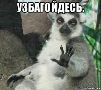 узбагойдесь. 