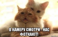  в камеру смотри - нас фоткают!