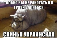 только бы не работать и в грязи валяться свинья украинская