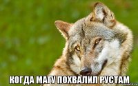  когда магу похвалил рустам