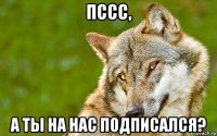 пссс, а ты на нас подписался?