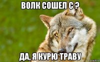 волк сошел с ? да, я курю траву