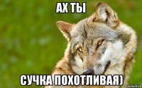 ах ты сучка похотливая)