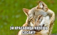  эй красавица. хочешь сасай!?