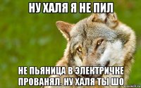 ну халя я не пил не пьяница в электричке прованял. ну халя ты шо