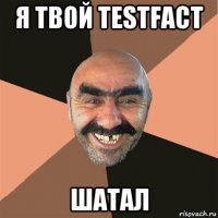 я твой testfact шатал